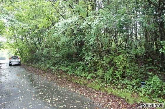 裾野市須山売土地(十里木高原別荘地内) 緑あふれる別荘地の画像