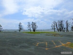湖西市新居町新居　浜名湖が一望できる事業用土地の物件画像