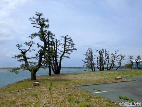 湖西市新居町新居 浜名湖が一望できる事業用土地の画像