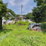 伊豆市八幡　売り土地　外観