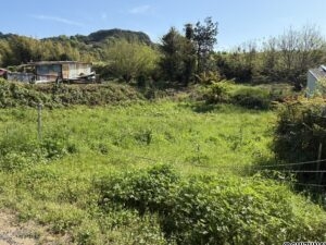 函南町畑毛　売り土地　外観