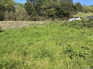 函南町畑毛　売り土地　外観