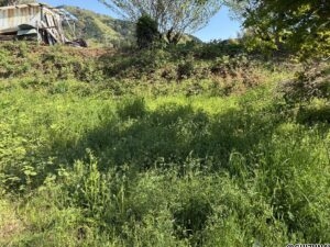 函南町畑毛　売り土地　外観