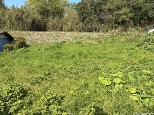 函南町畑毛　売り土地　外観