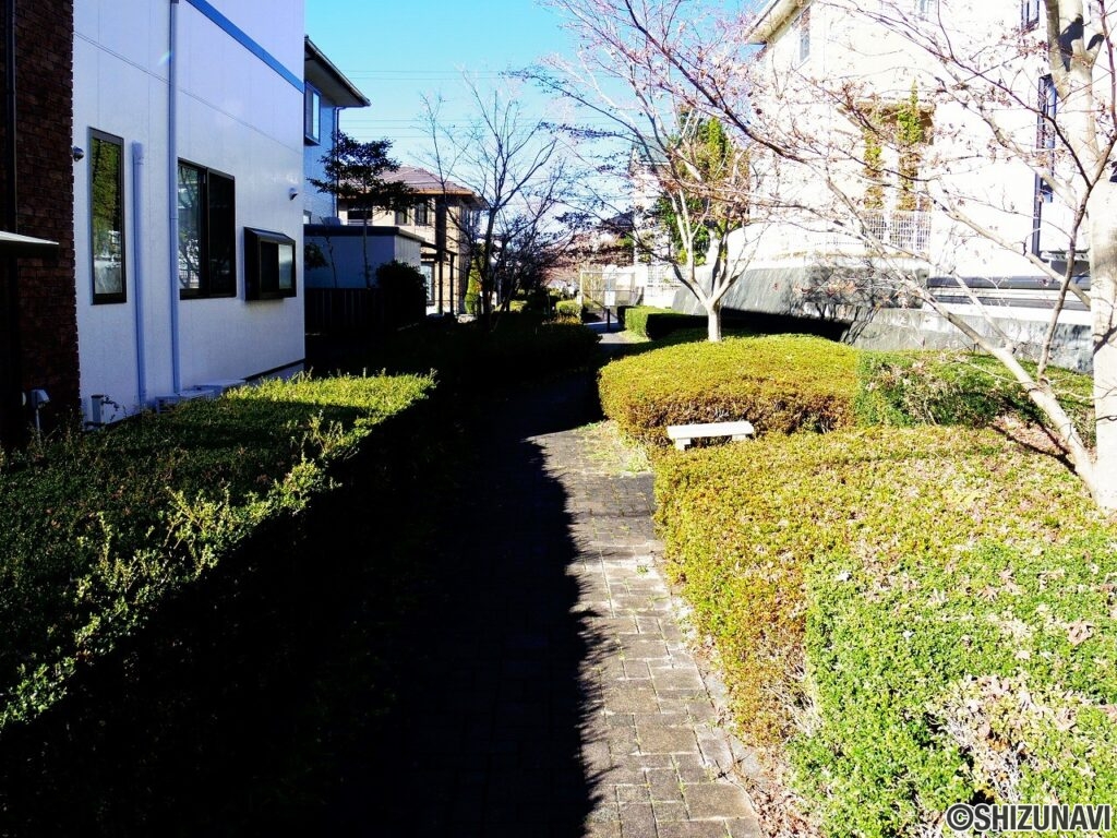 三島市佐野見晴台　セキスイハイム中古住宅　前面道路