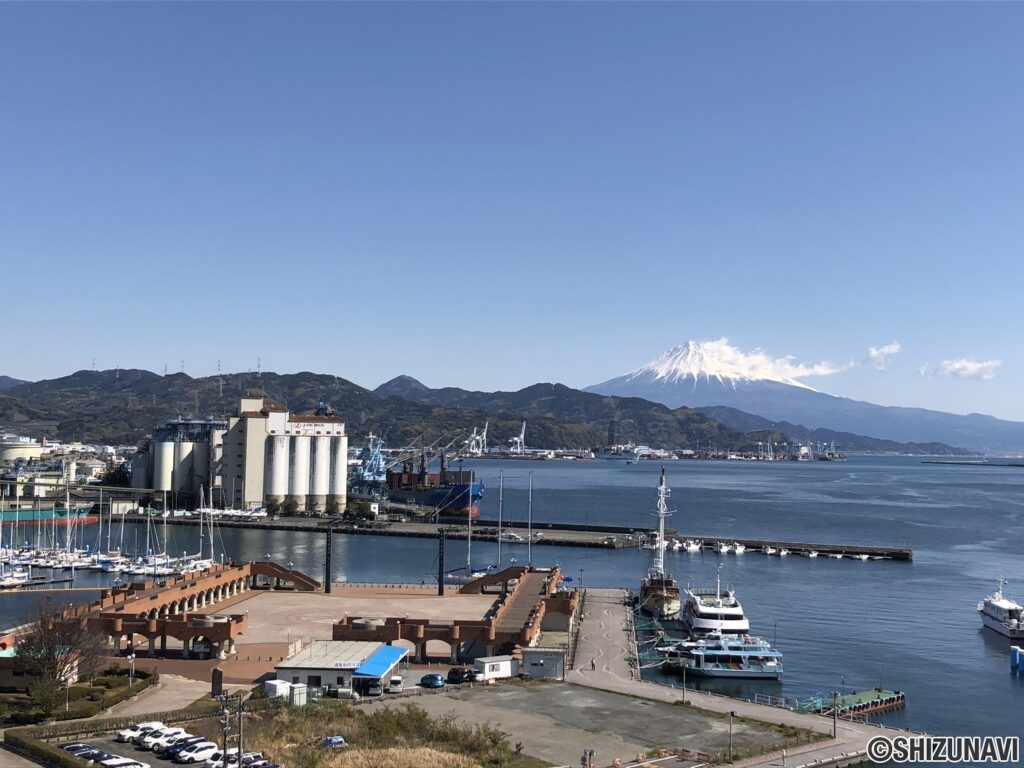 浪漫館10階　3LDK　富士山が見える静岡市清水区のマンションの画像