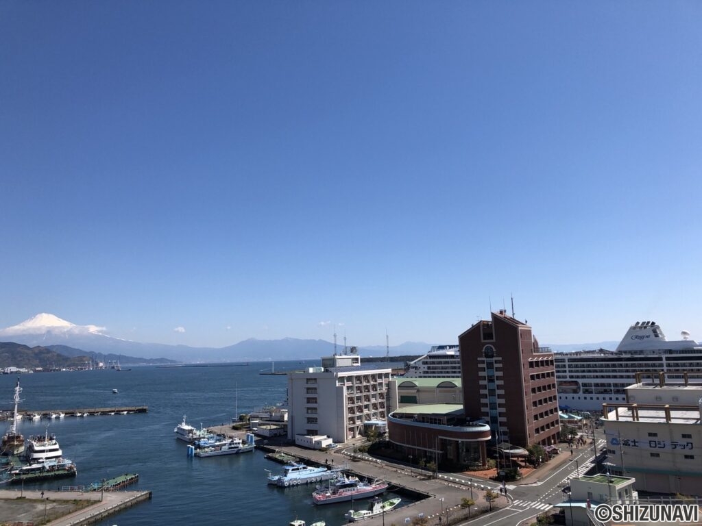 浪漫館10階　3LDK　富士山が見える静岡市清水区のマンションの画像