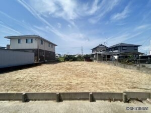 全体写真