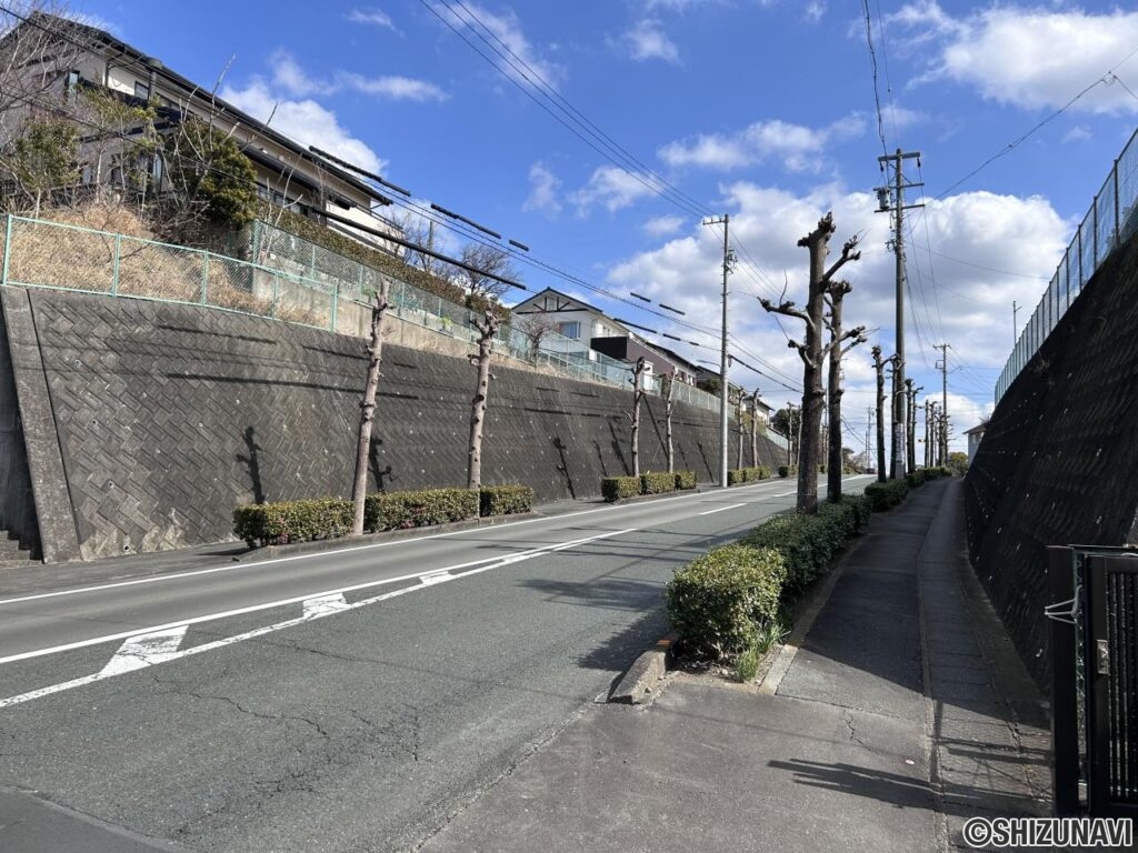 【北側　前面道路】駐車場が面する北川道路は片側一車線の道路です。一定の交通量がある道路に面しているので、お子様の通学や防犯面でも人の目が確保されていて安心できそうです。