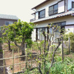 敷地南東側から撮影