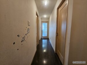 玄関前廊下