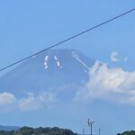 庭から撮影した富士山
