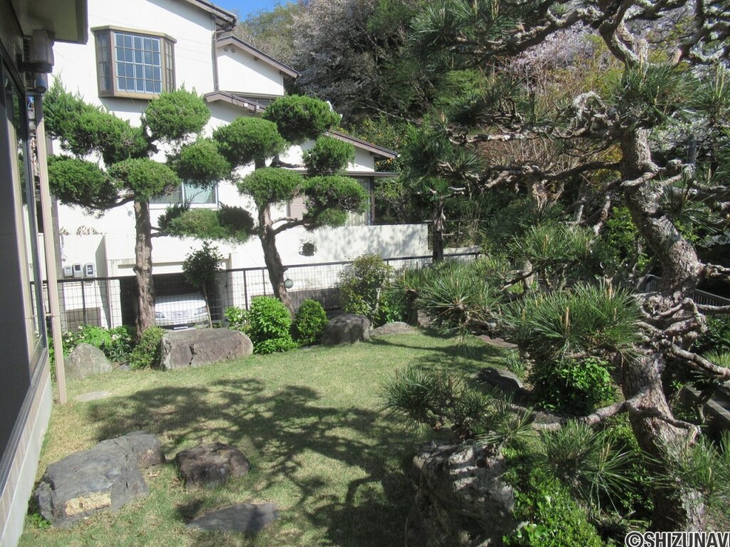 庭