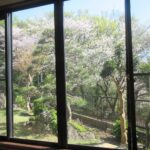 リビングから見た庭