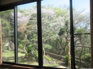 リビングから見た庭