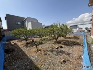 神谷　南側境界から