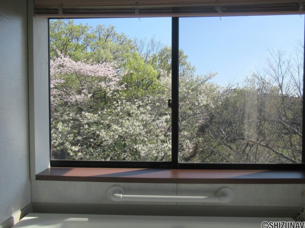 浴室からの眺め