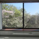 浴室からの眺め