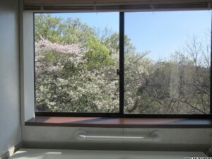 浴室からの眺め