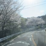 静岡市駿河区池田 セキスイハイム施工 中古住宅の画像