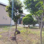 沼津市大岡　売り土地　現地