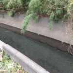敷地の裏は和田川に面しています。