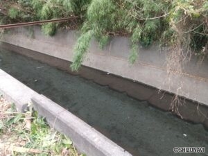 敷地の裏は和田川に面しています。