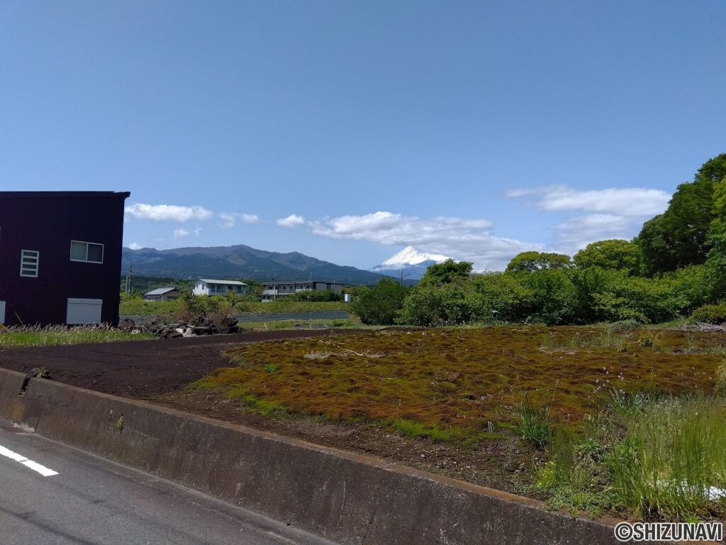道路側からは富士山を眺めることができます。