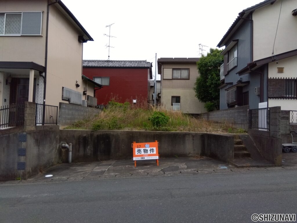 全景