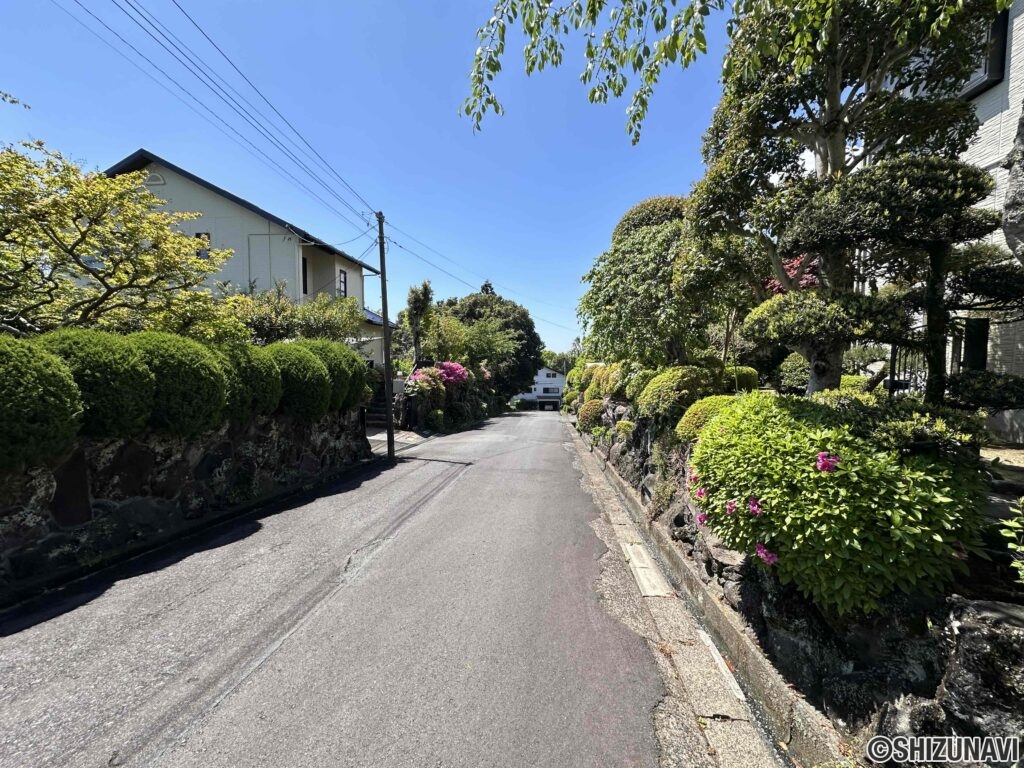 前面道路の様子。
