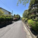 前面道路の様子。