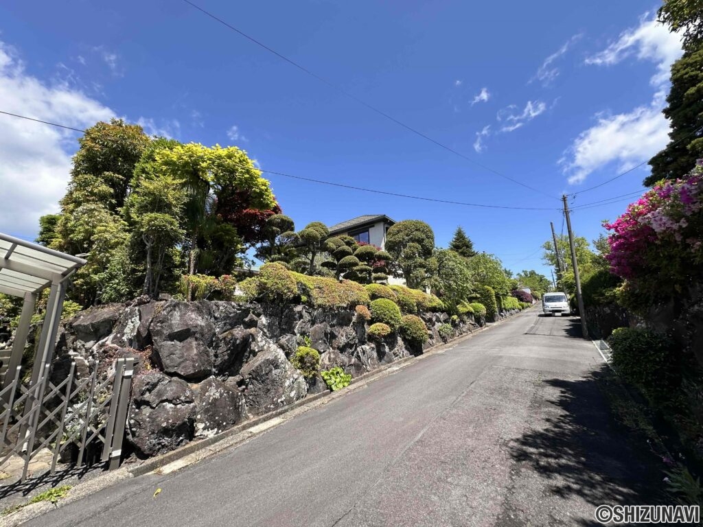 前面道路の様子。