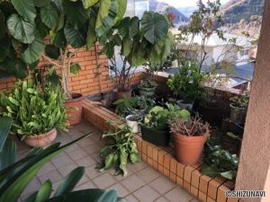 伊豆市牧之郷　中古