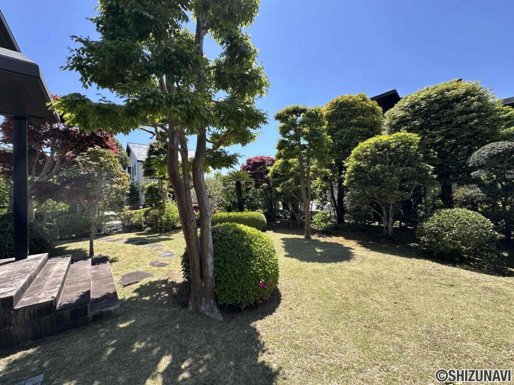 日当たりの良いお庭。