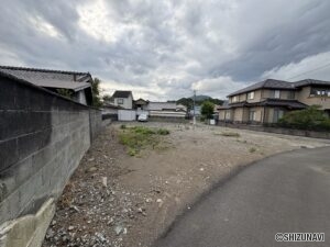 全体④