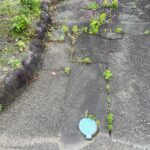 三島市　大場駅まで徒歩圏内・平屋も可能な南向き　約８７坪の土地が出ました！！の画像