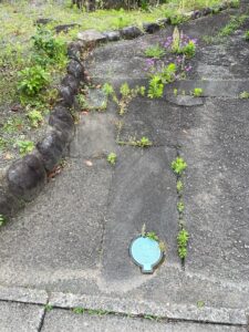 三島市　大場駅まで徒歩圏内・平屋も可能な南向き　約８７坪の土地が出ました！！の画像