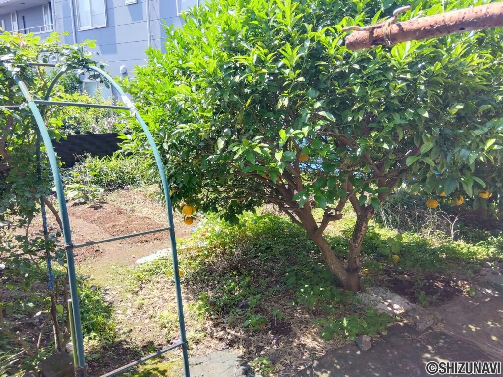 富士市水戸島　中古住宅　外観