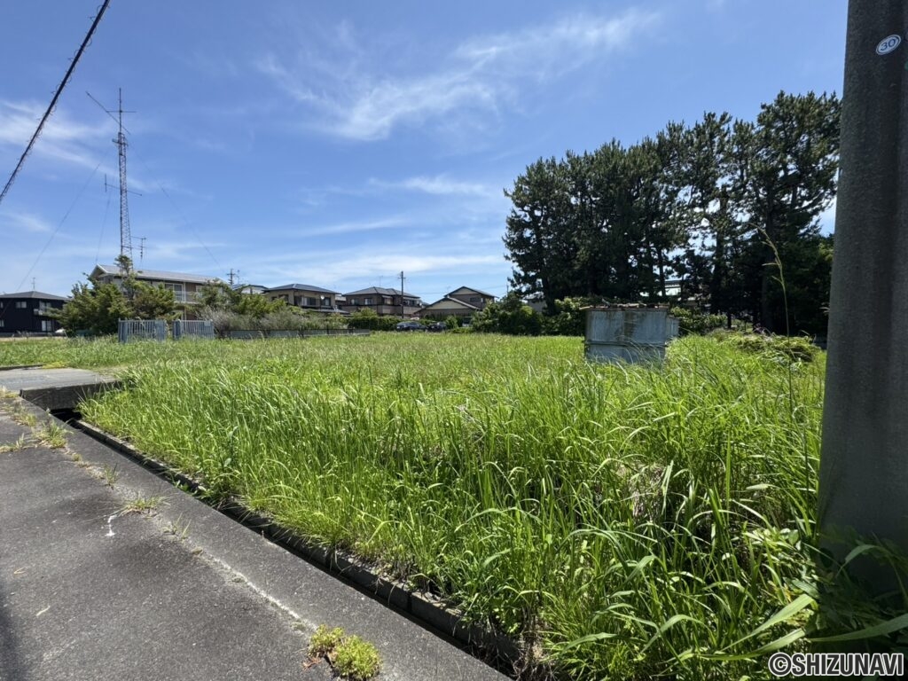 正面右側より