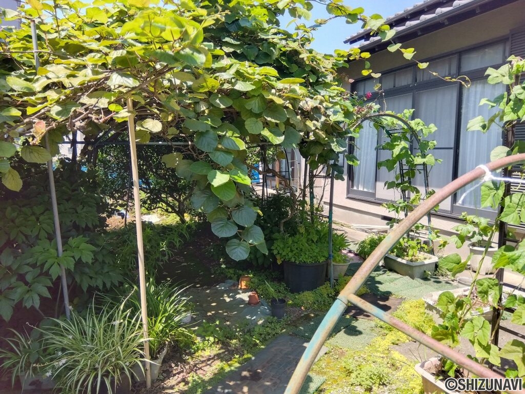 富士市水戸島　中古住宅　外観