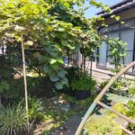 富士市水戸島　中古住宅　外観