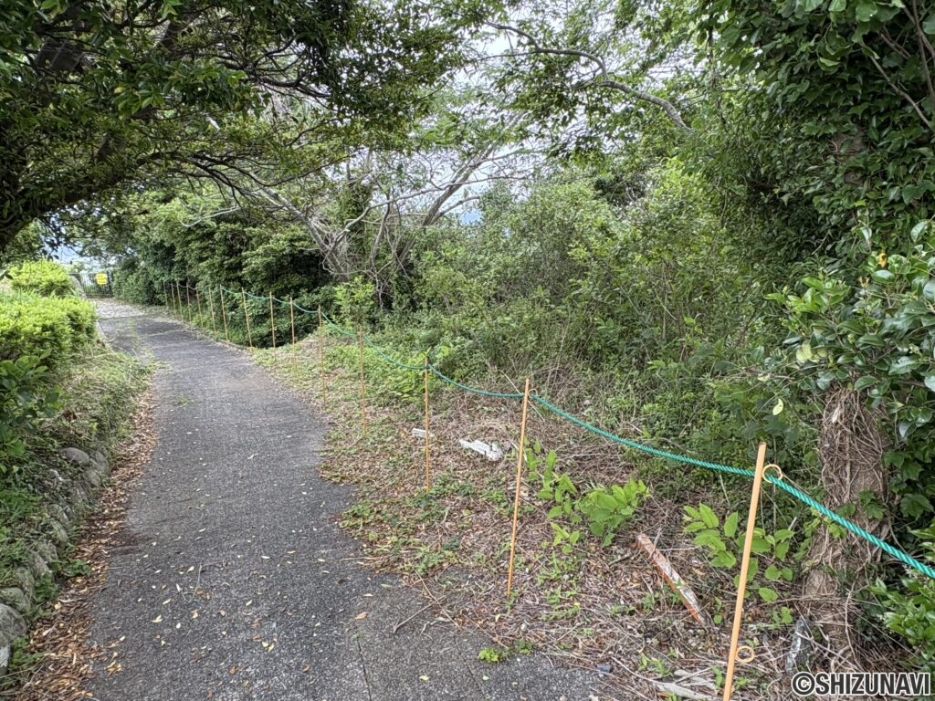 崖上から見た外観です。