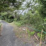 崖上から見た外観です。