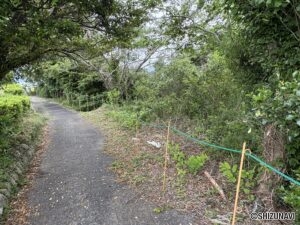 崖上から見た外観です。
