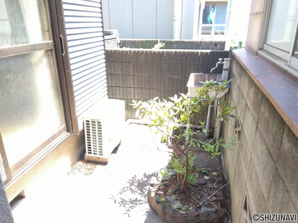 庭
