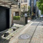 【1，2階部分飲食店利用】浜松市中央区鴨江4丁目　中古住宅　鉄骨造3階建ての画像