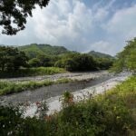 【仲介手数料不要】葵区瀬名7丁目　整形な土地　境界確定済みですの画像