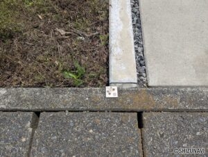 静岡市　駿河区小鹿1174-3他　外観