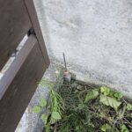 静岡市　駿河区小鹿1174-3他　外観