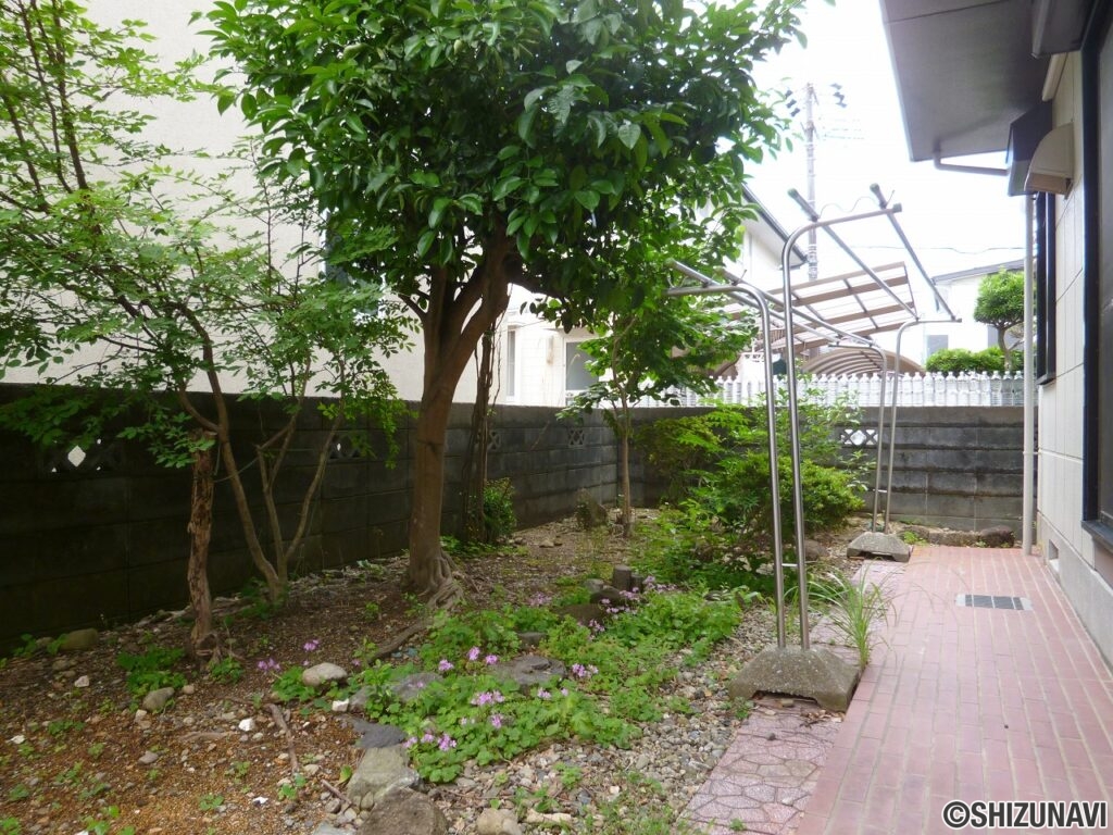 南側には樹木や家庭菜園ができるお庭があります